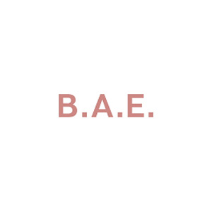 BAE_Logo.jpg