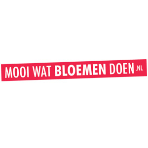 Bloemenbureau_Logo.jpg